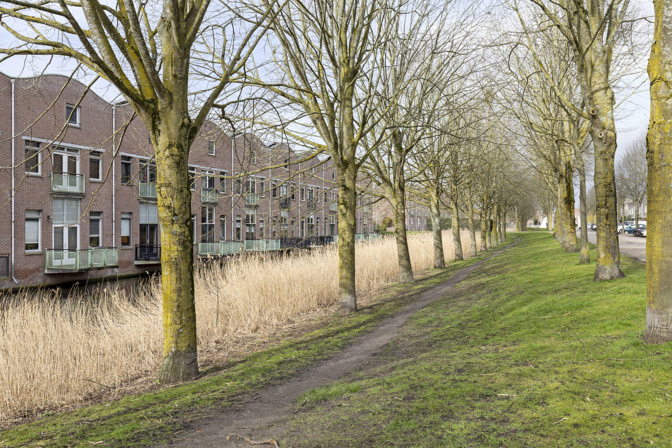 carry-van-bruggenstraat-13-foto-33