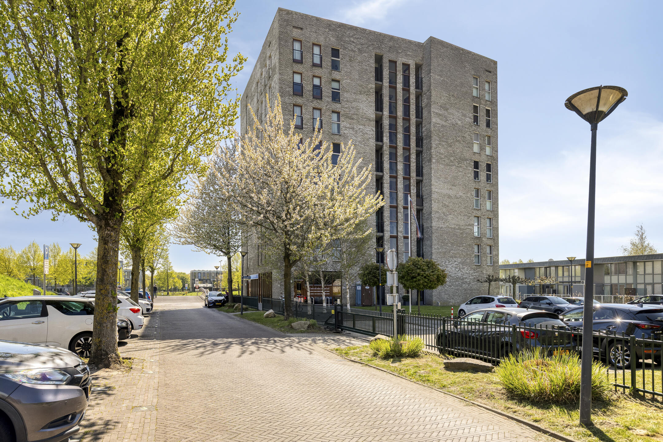 brandaris-16-foto-4