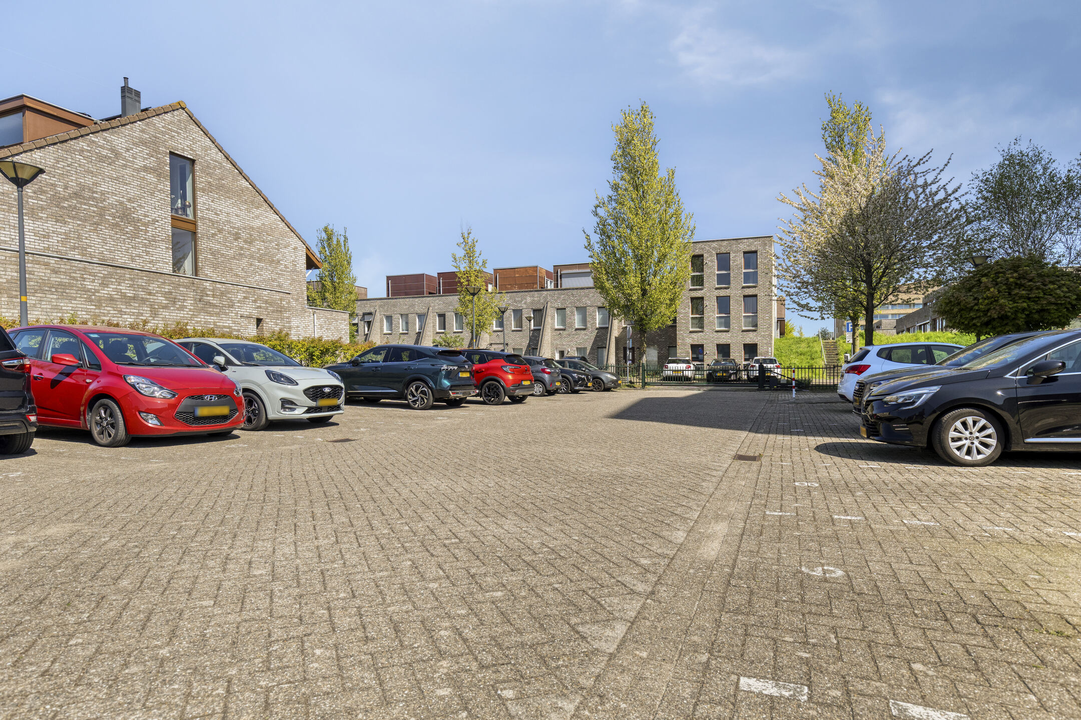 brandaris-16-foto-27