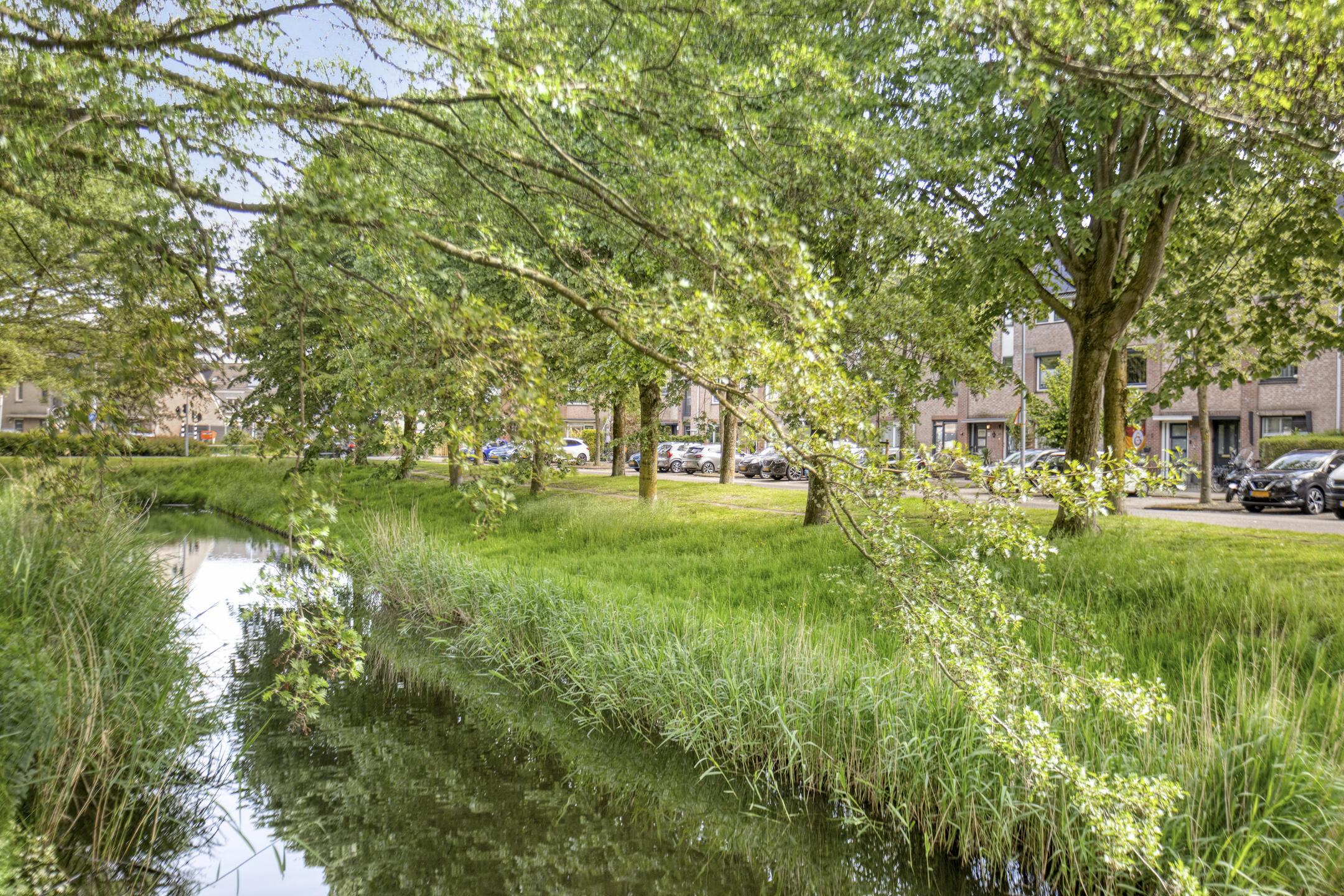 marga-klompesingel-58-foto-30