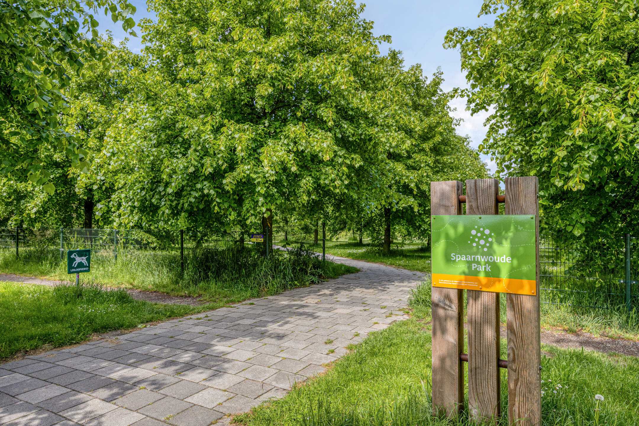 haringvliet-92-foto-24