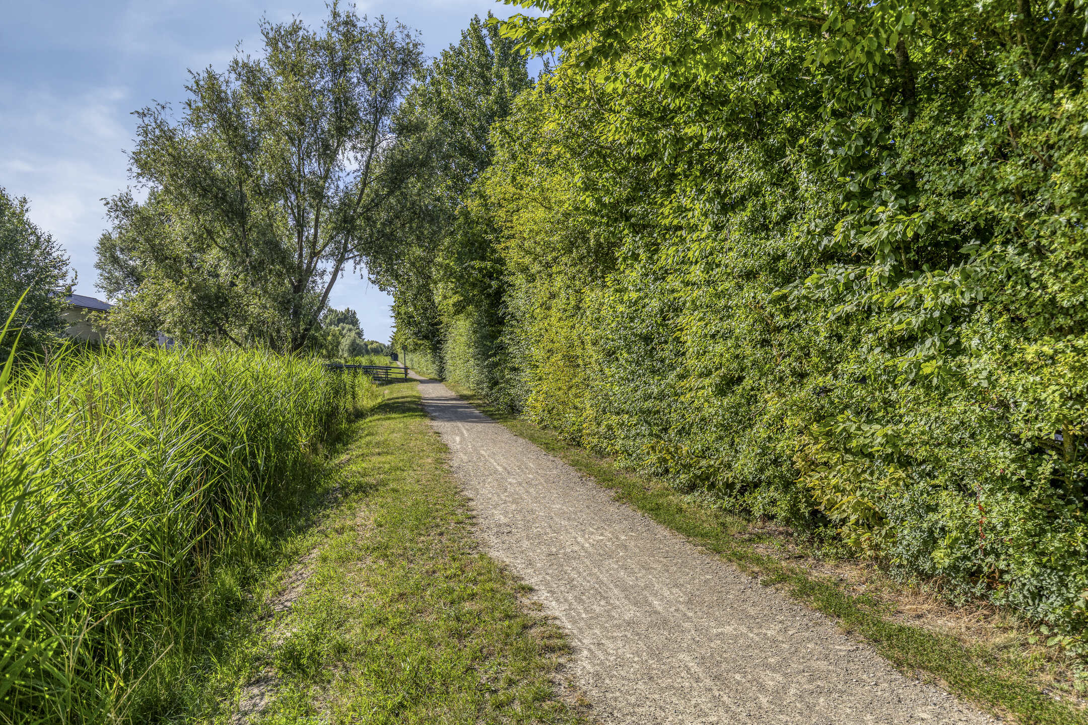 ijweg-1157-foto-50