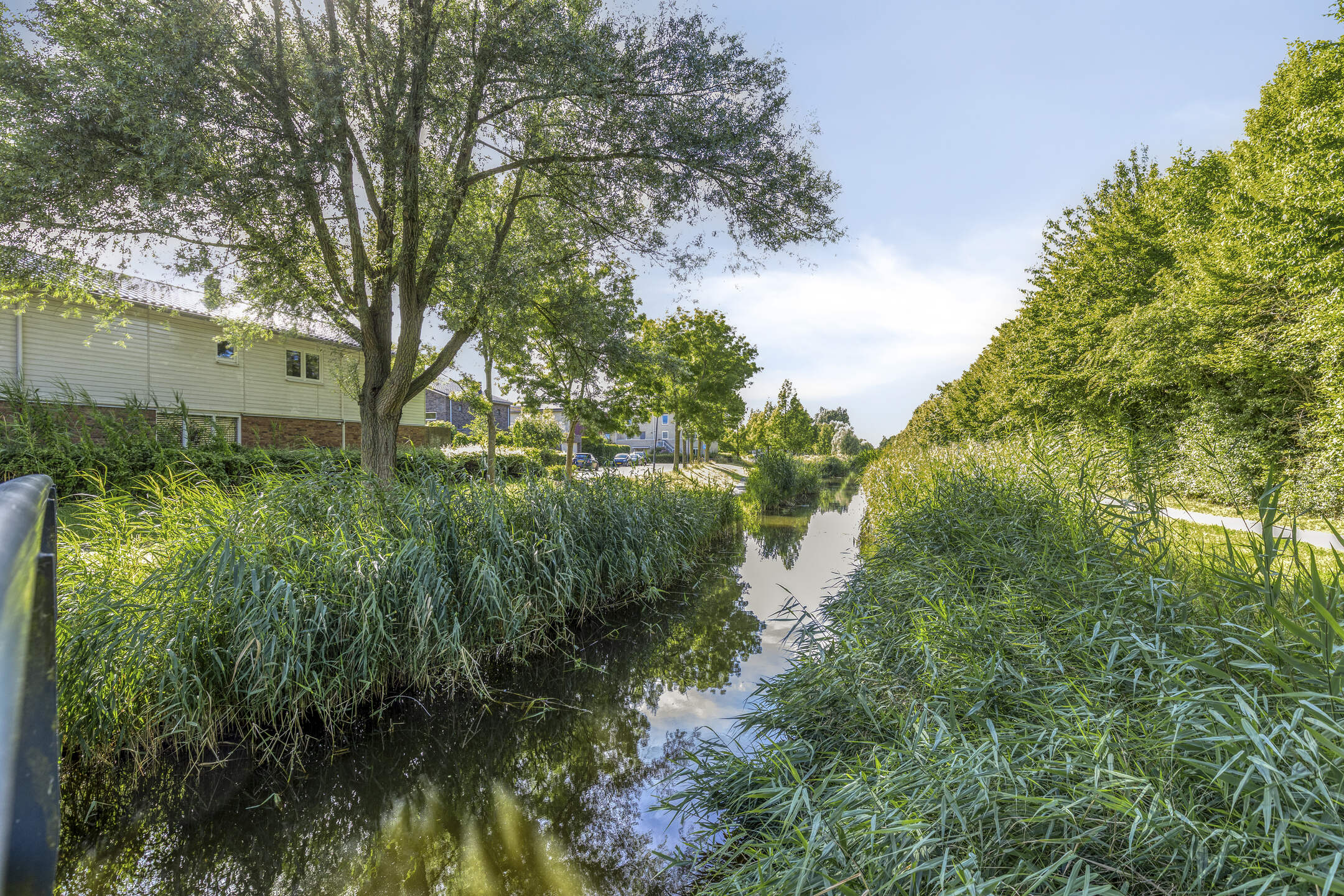 ijweg-1157-foto-51