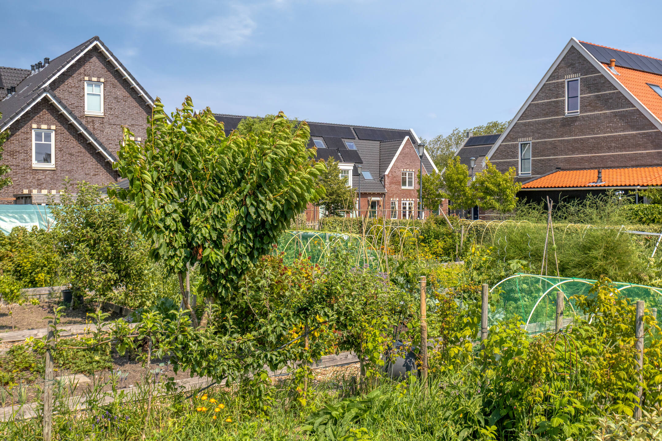hoofdweg-1273-foto-42