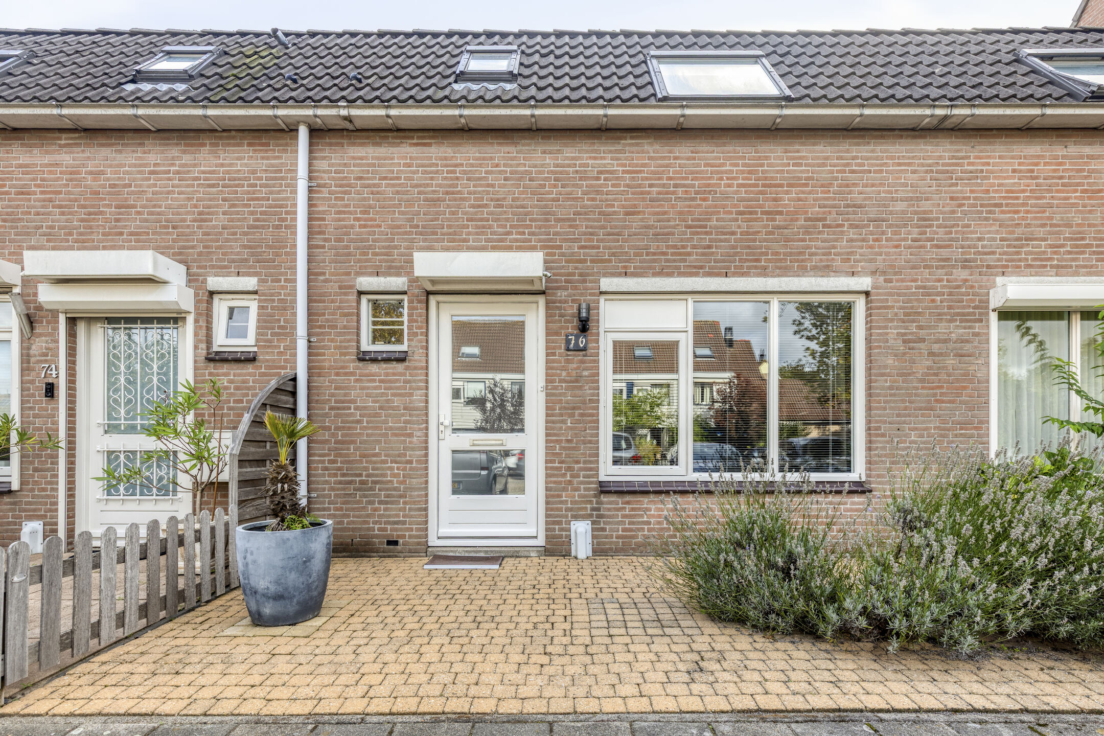 mastbos-76-foto-4